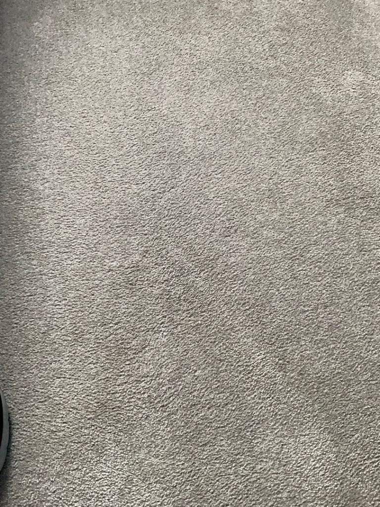 Light Grey Carpet – Good Condition