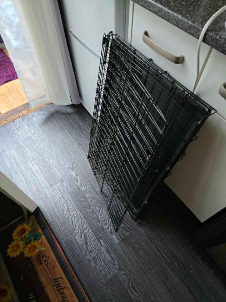 Medium dog crate 