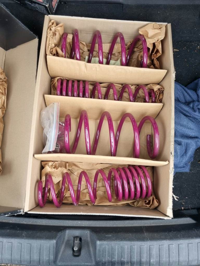 Renault Vogtland axel springs 