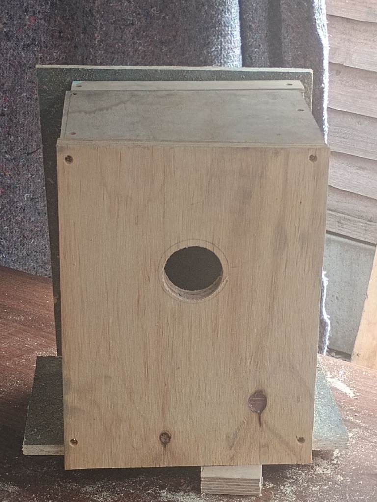 Bird box