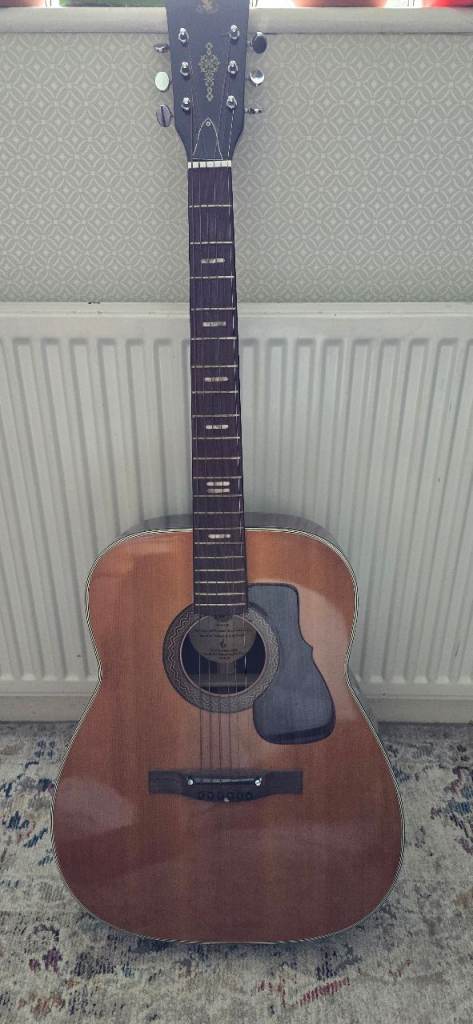 Genuine Hawk Guitar