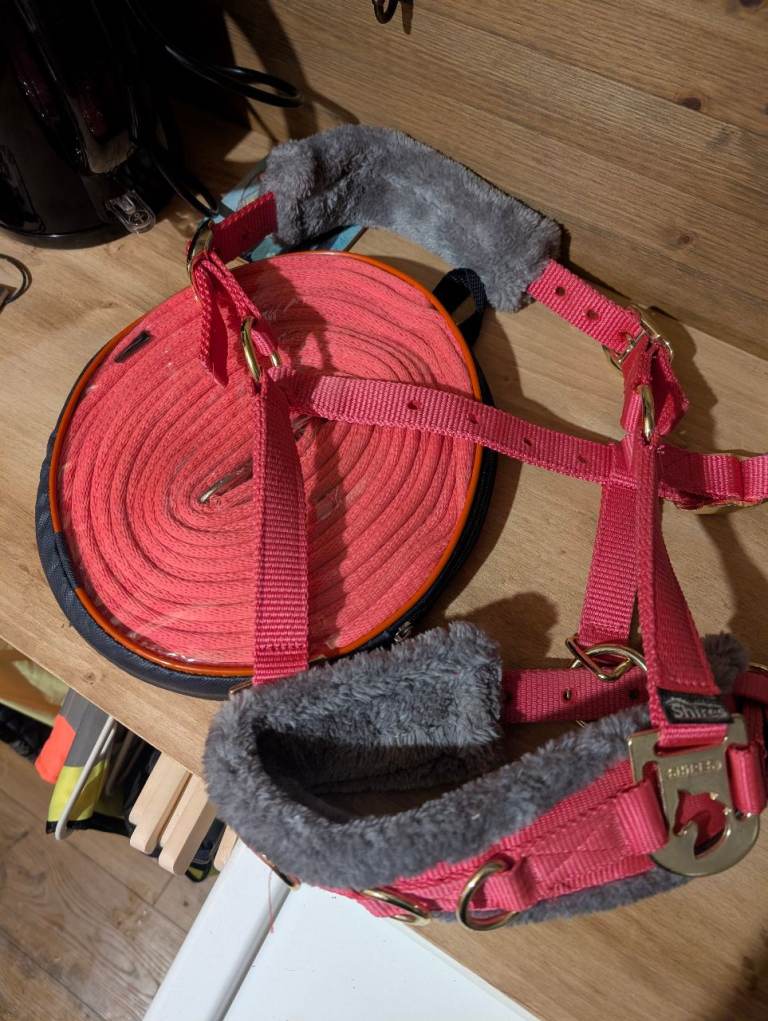 Lunge Cavesson and line,