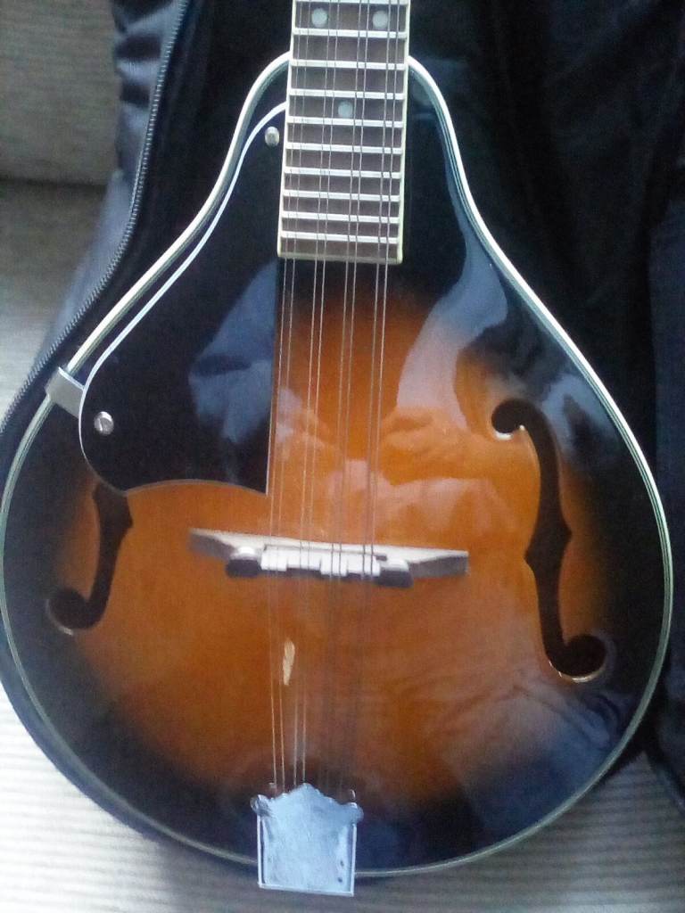 Left. Handed mandolin