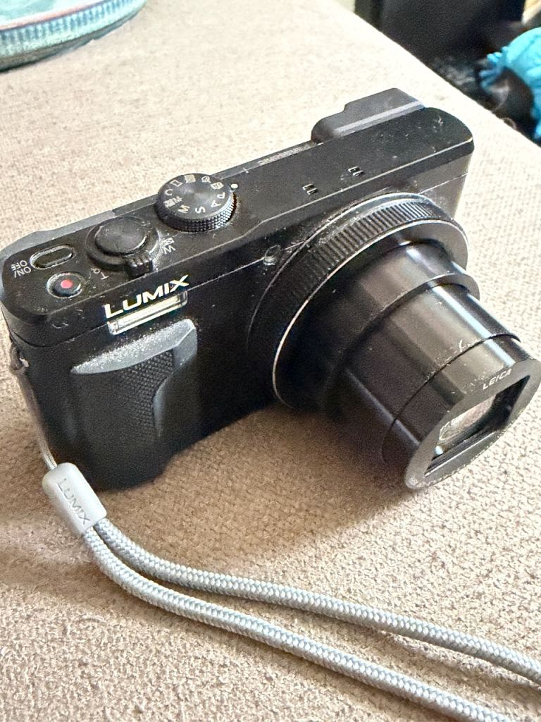 Panasonic Lumix DMC-TZ80 Digital Camera with Charger