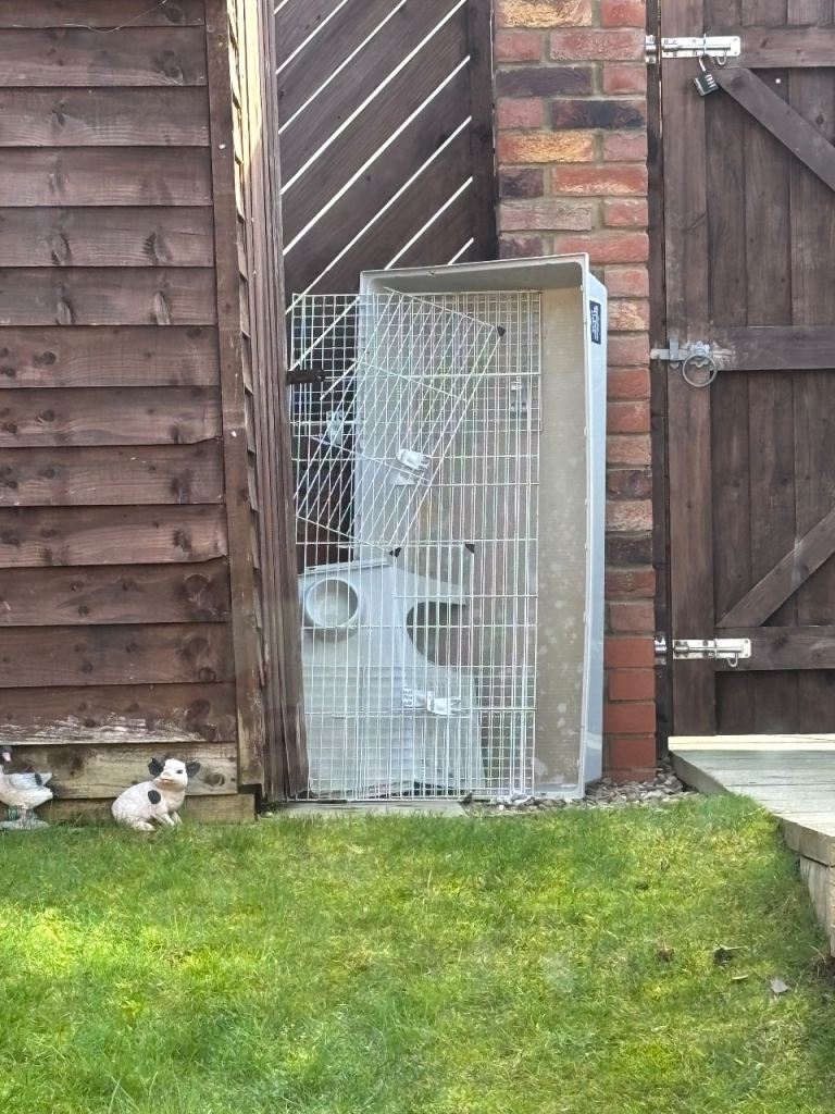 Indoor guinea pig hutch