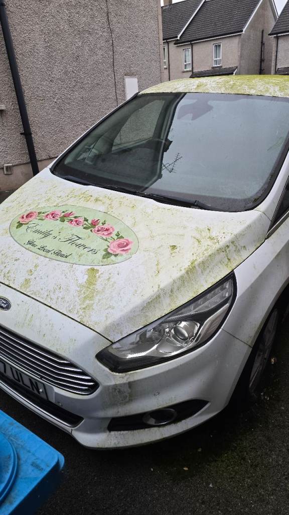 Ford, S-MAX, MPV, 2017, Manual, 1997 (cc), 5 doors