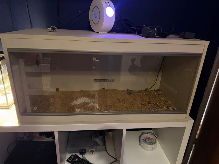 Vivarium tank