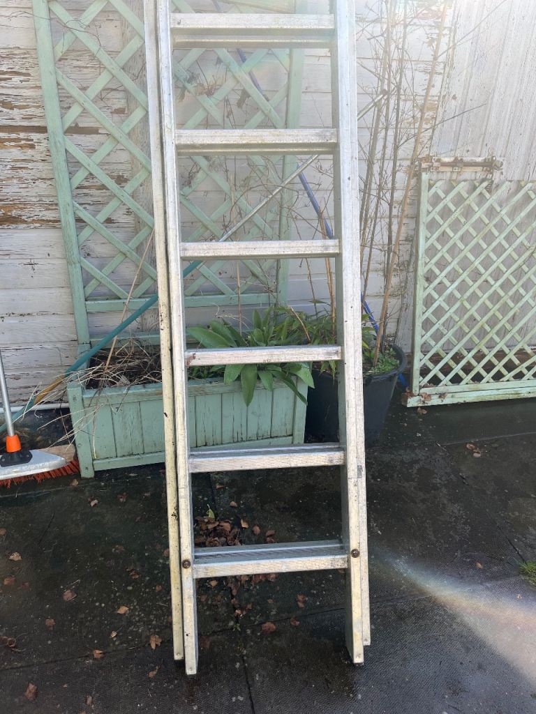 Youngman Aluminium Ladder 