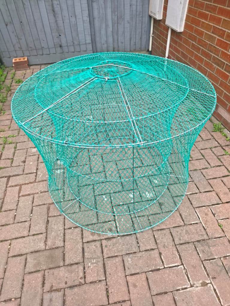Aseel Rooster Cages 