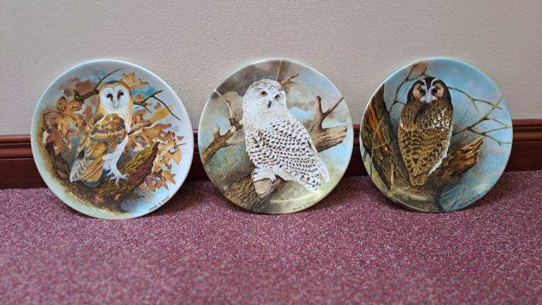 Coalport 'The Wise Owl' Collector Plates - Set of Three