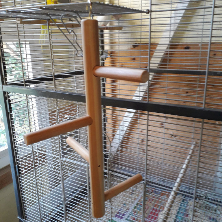 Multiple bird perch for large cage, aviary or garden.