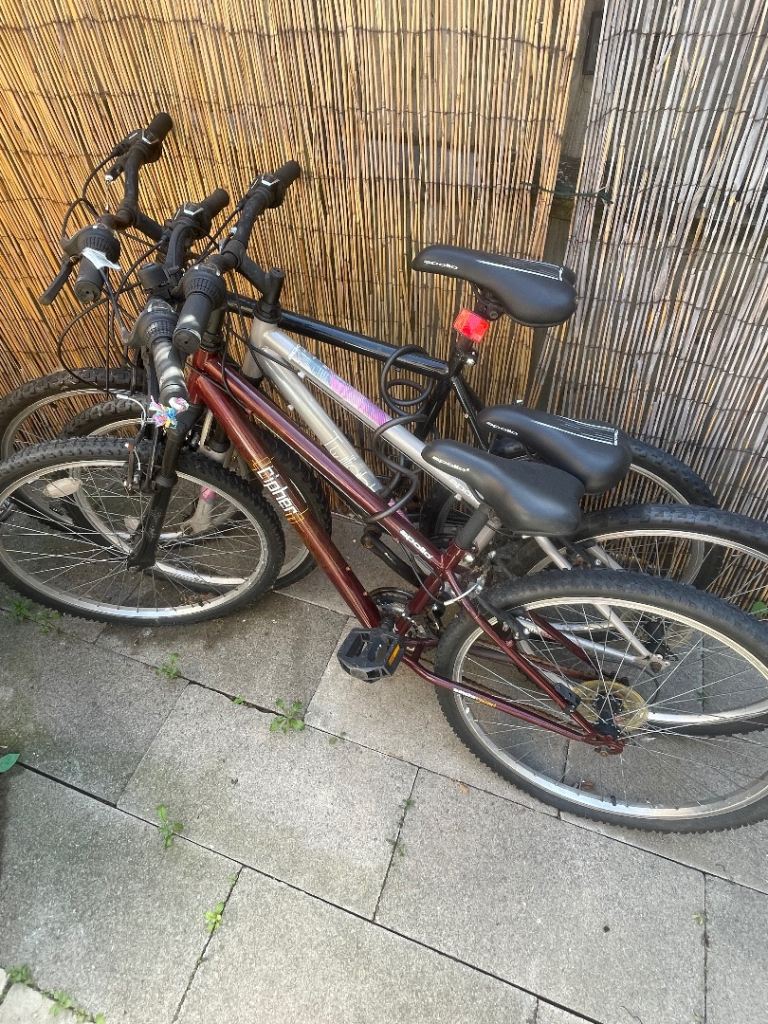 3 Adult Mountain Bikes – £80 Each or £220 for All Three