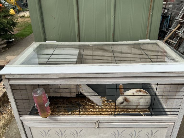 Rabbit Hutch 