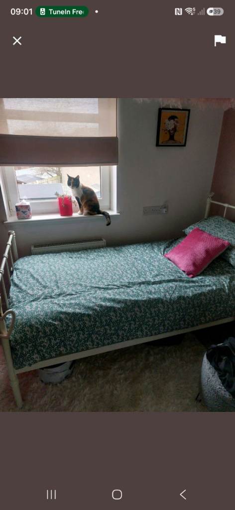 Bright single room-females only