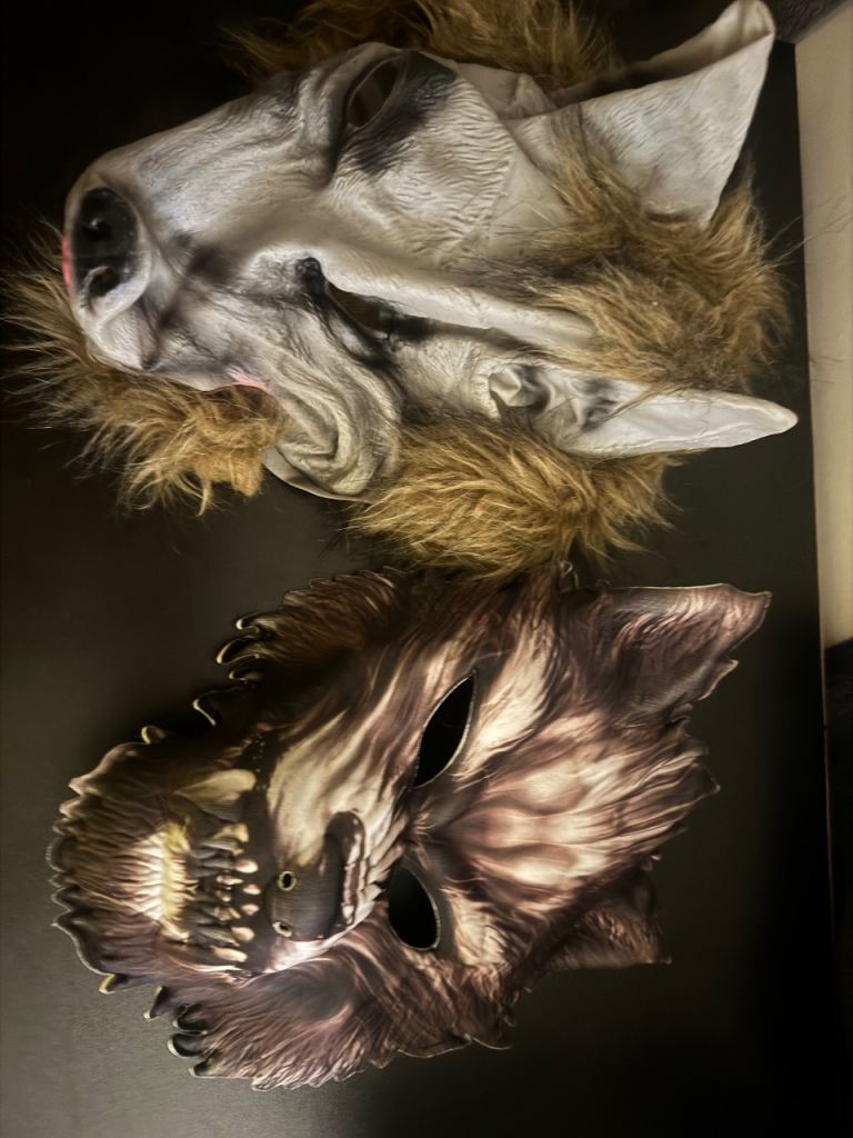 Kids Animal Fancy Dress Masks - Wolf & Raccoon