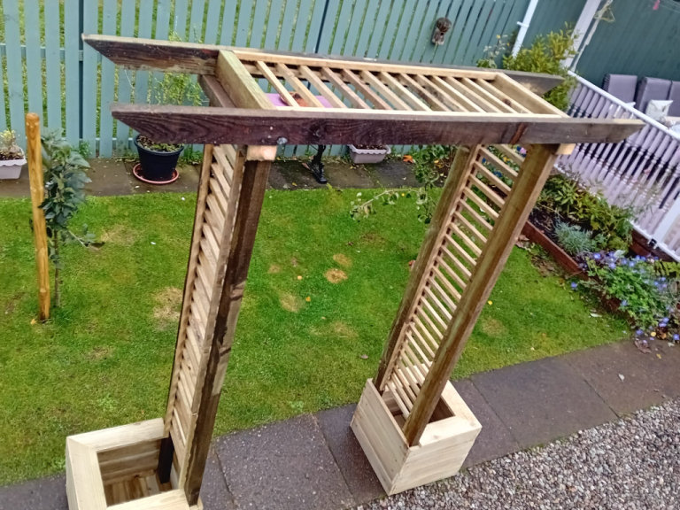 Rose archway/ hedge trainers