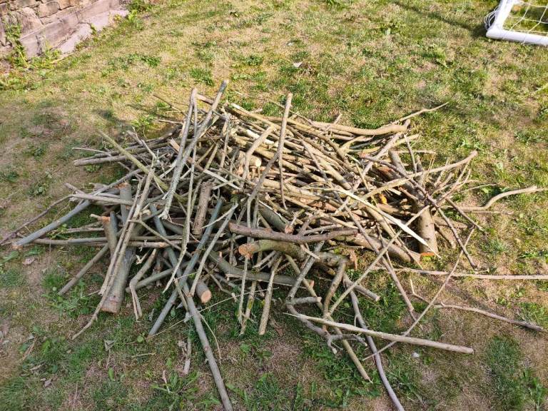 Free Wood branches/sticks