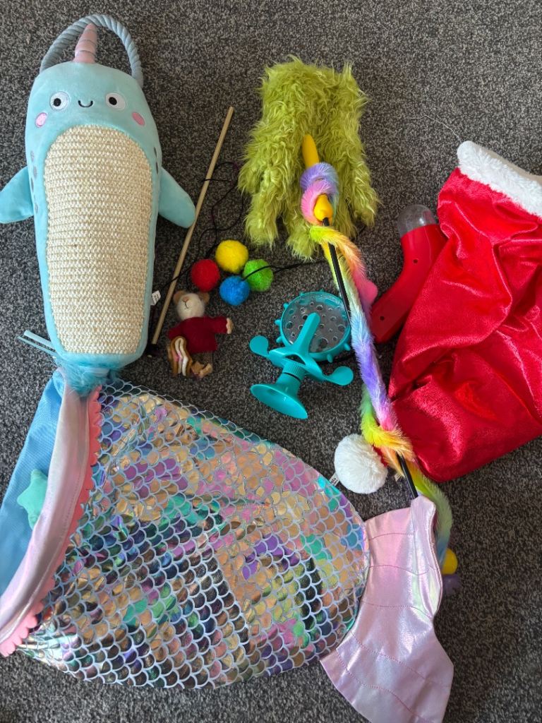 Bundle of cat toys 