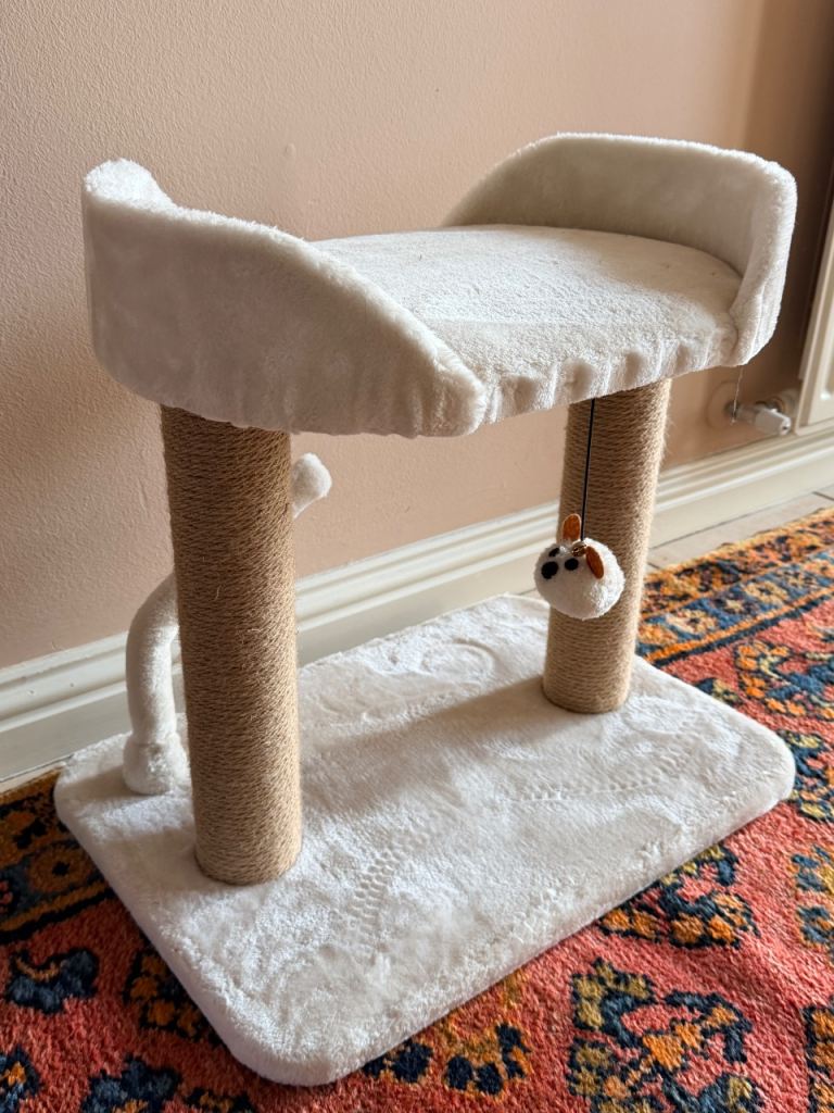 Cat platform and scratcher