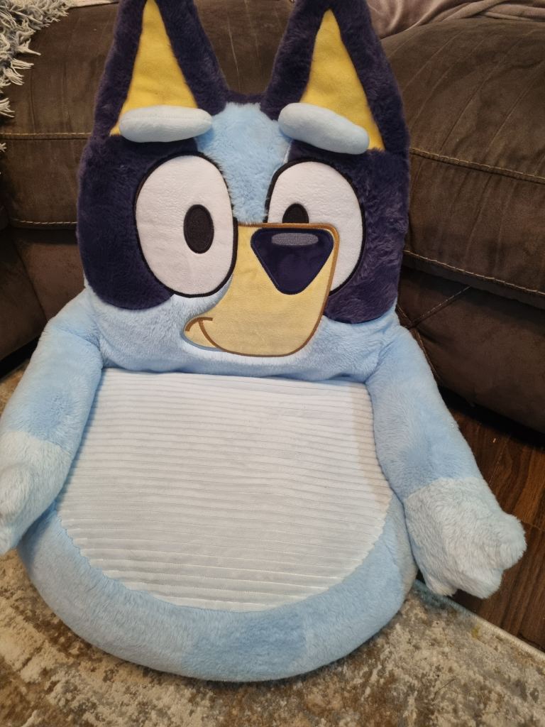 Bluey Plush Floor Seat for Kids – Good Condition