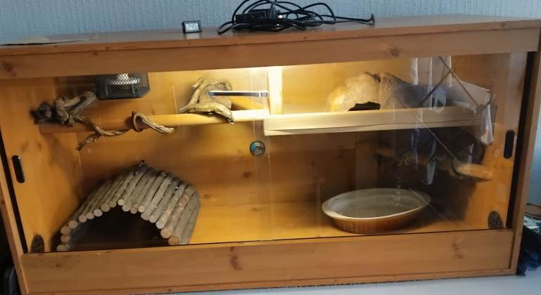 4ft reptile enclosure full set up 