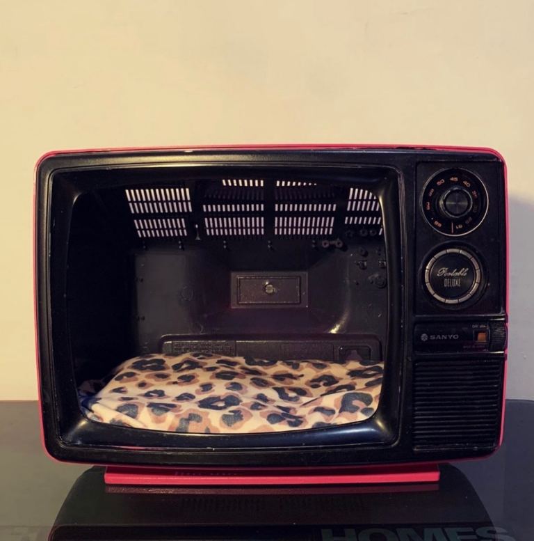 Small TV pet bed 