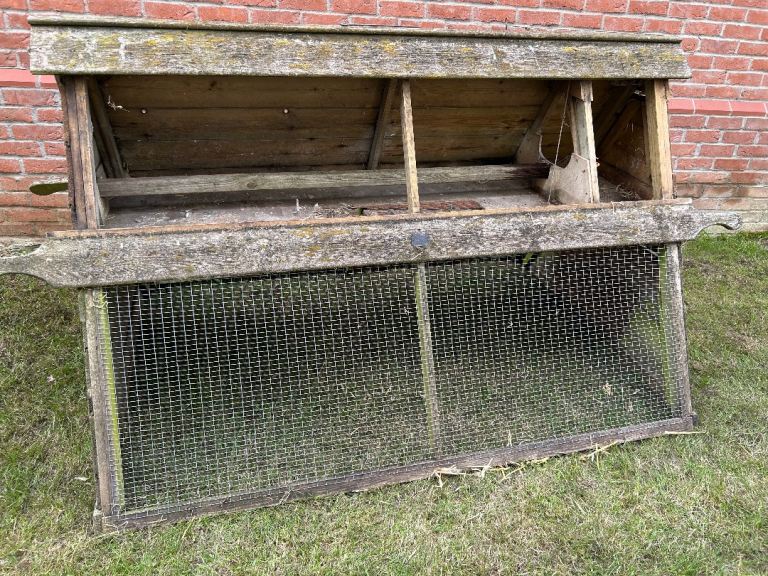 Chicken Coop