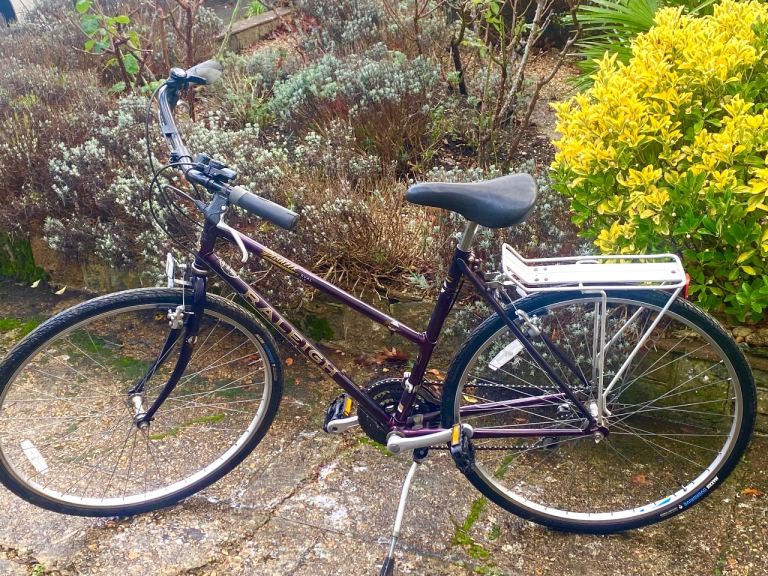 Raleigh Pioneer Bike