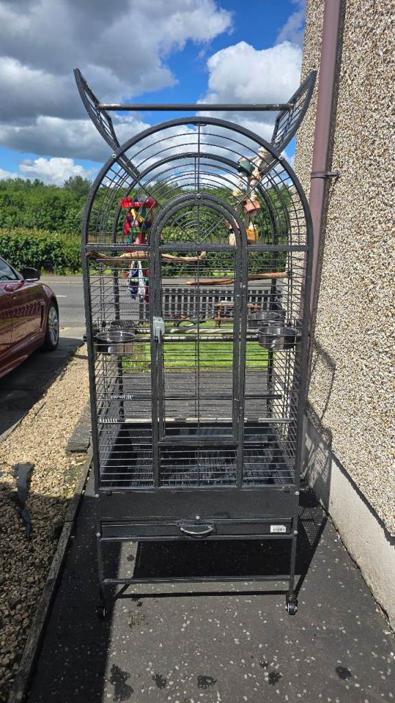 Large parrot cage