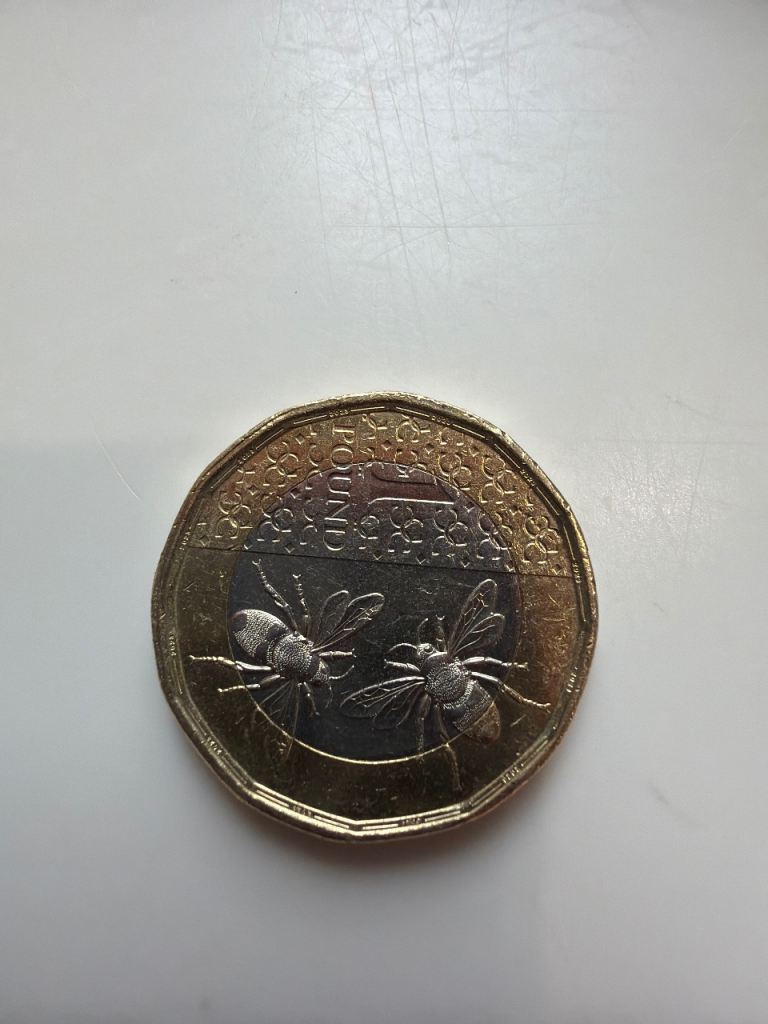 Rare 2023 king Charles pound coin