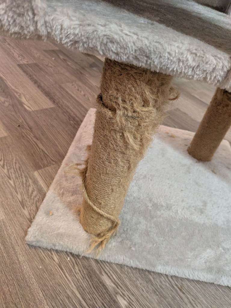 Free Cat tree, Used