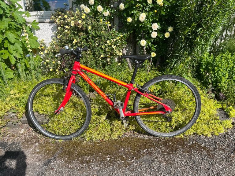 Kids Isla bike beinn 24