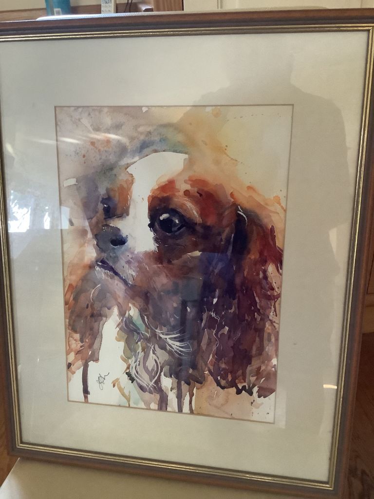King Charles spaniel