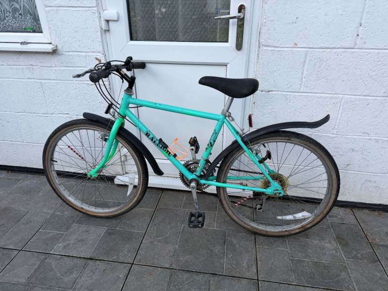 Raleigh Junior Kids Mountain Bike Bicycle