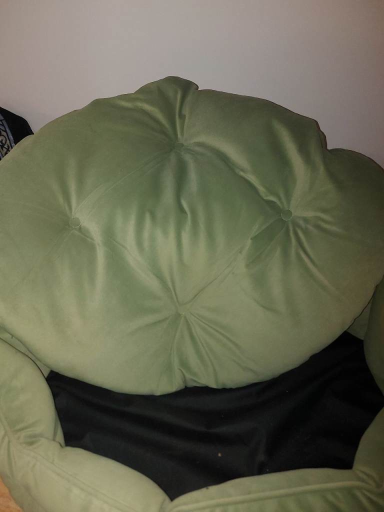 Large dog bed 
