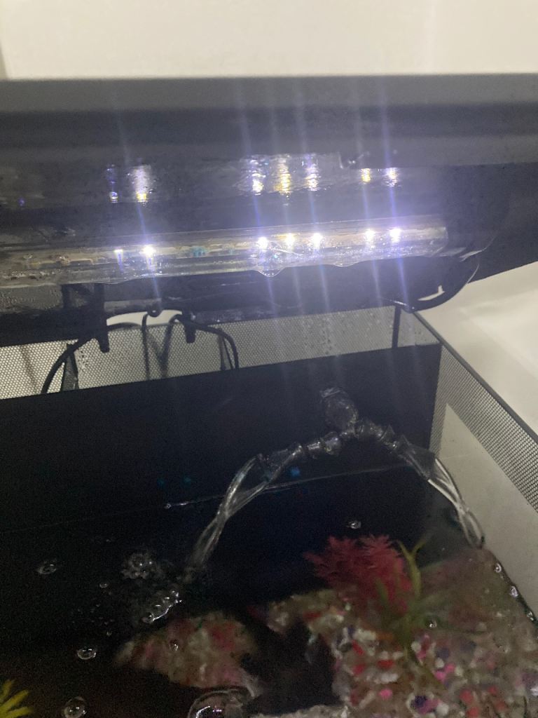 Fish tank and storage cupboard 