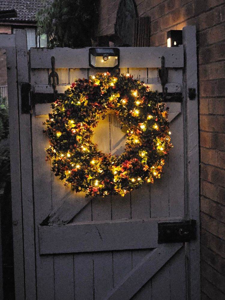 "Garden Reflections" pre- lit pachysandra wreath- NEW