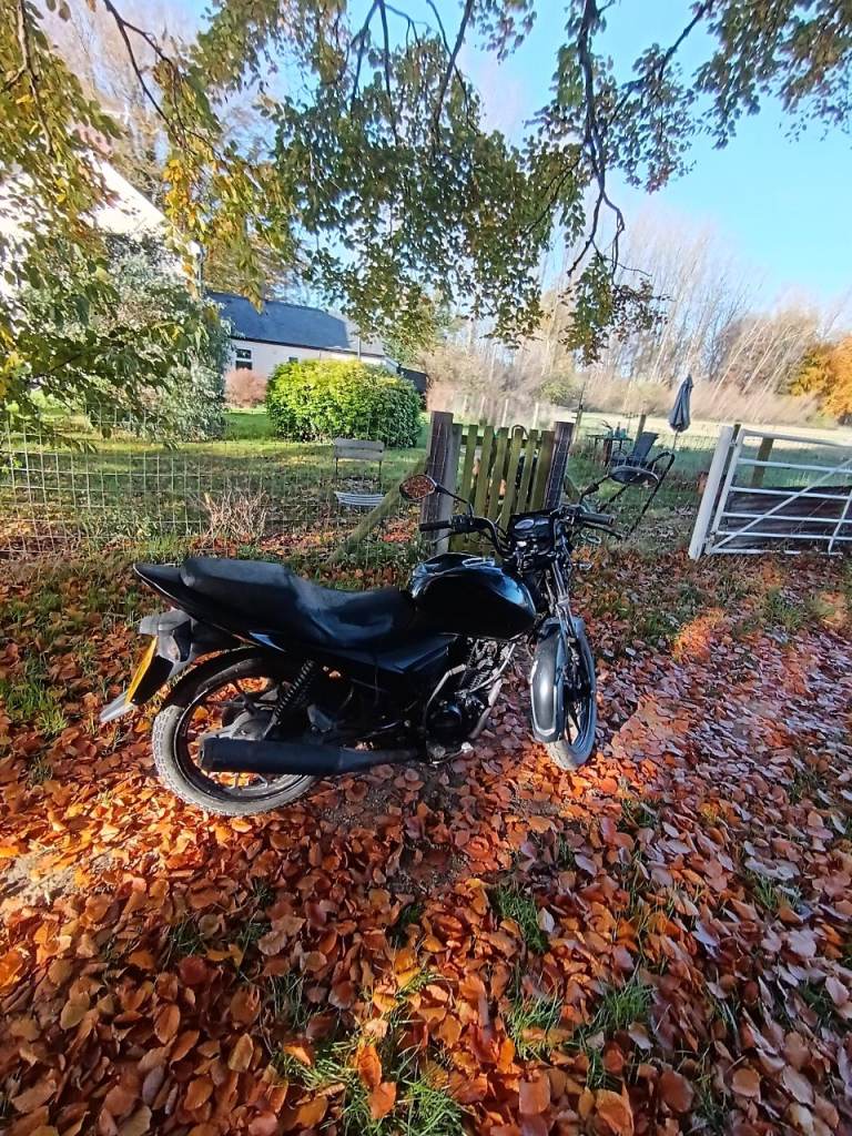 Suzuki, 2016, 125 (cc)