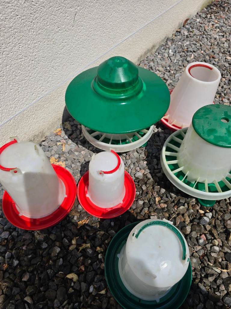Chicken Feeders and Drinkers