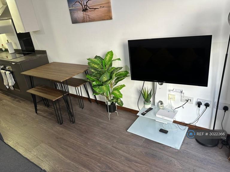 1 bedroom flat in New Coventry Road, Birmingham, B26 (1 bed) (#3022366)