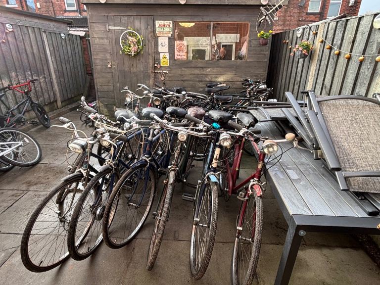 Vintage Adult Bicycles 