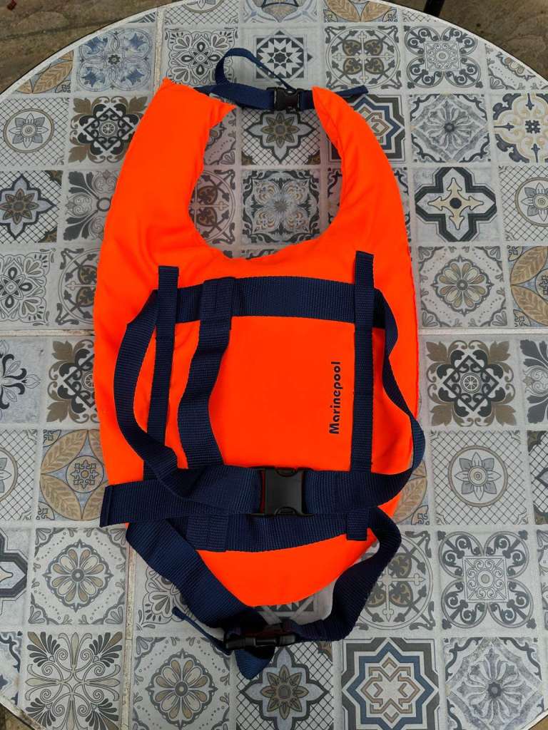 Marinepool dog life jacket — brand new, never worn, £15 We bought this for a friend's dog.