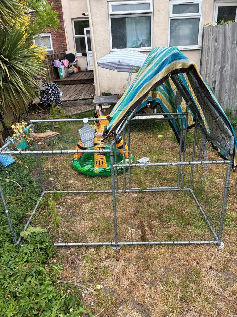 Chicken run