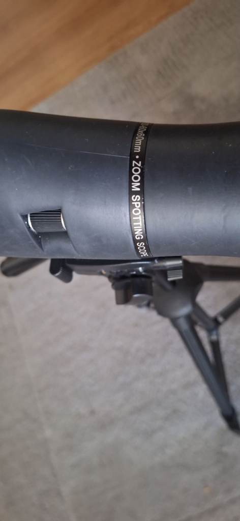Scope with new trypod 