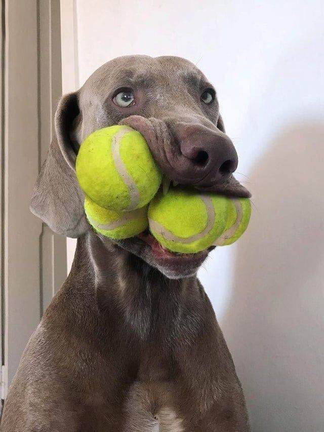 Up for a game of tennis at Kelvingrove Park?
