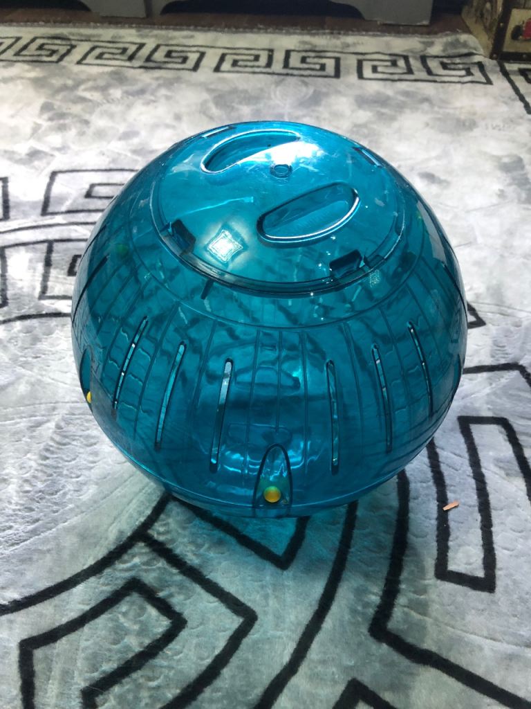 Nobby Savic Runner Dog Exercise Ball Large Blue 25cm