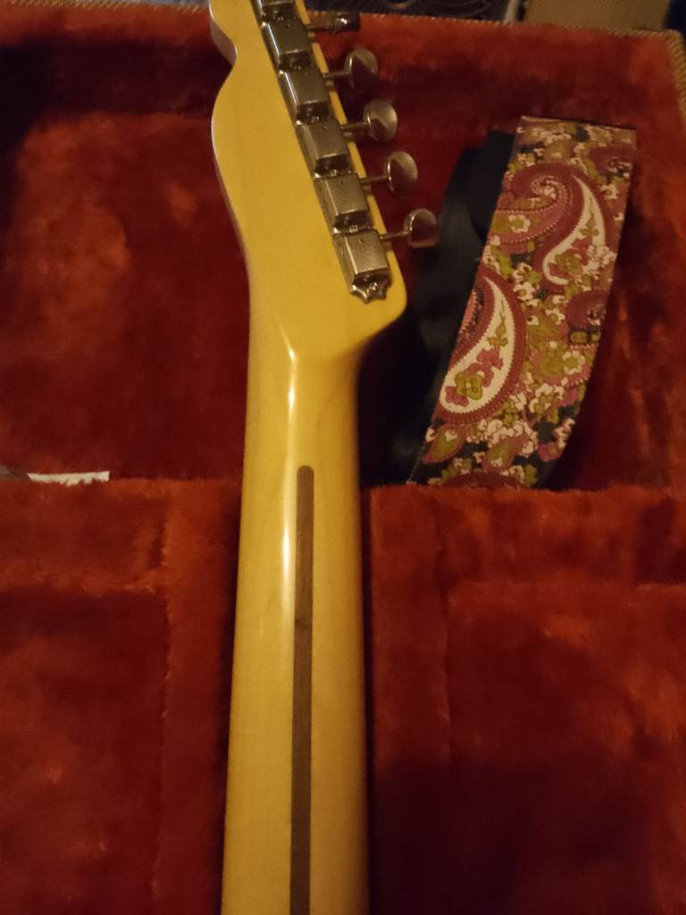 2017 paisley fender telecaster mij