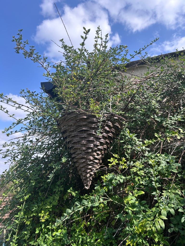 Hanging Baskets with Coco Liner – Good Condition