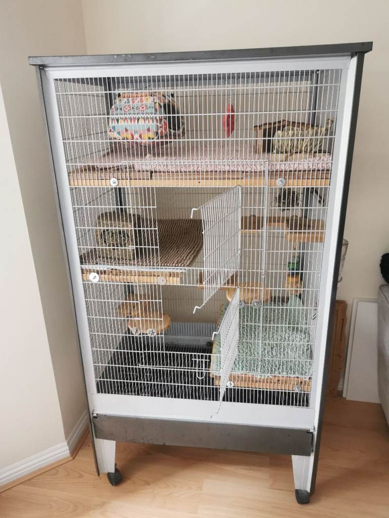Chinchilla/Rat/Ferret Cage and Accessories