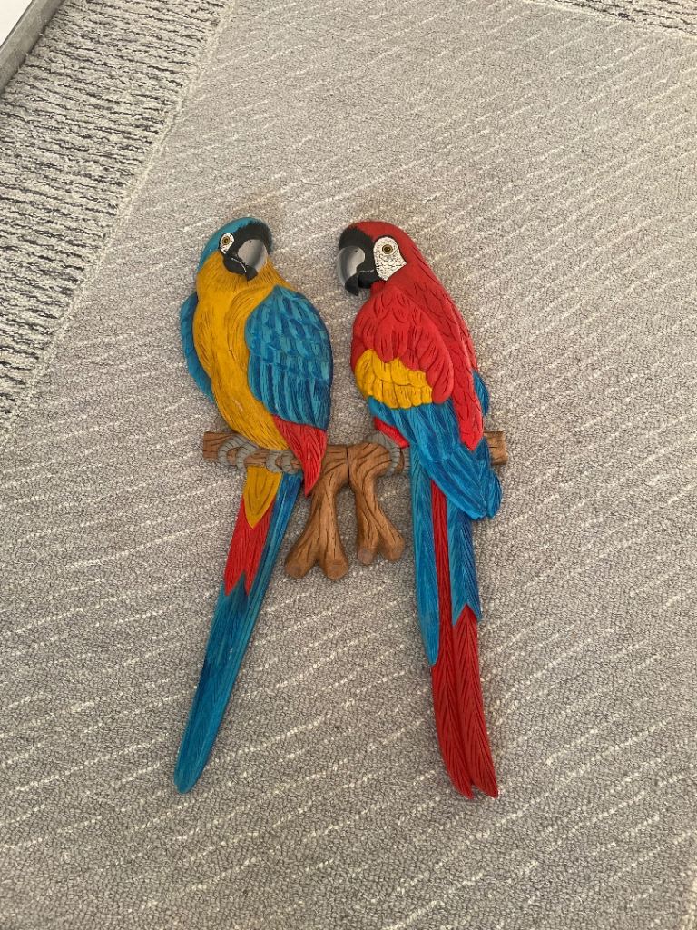 Colour Parrot Wall Decor £25